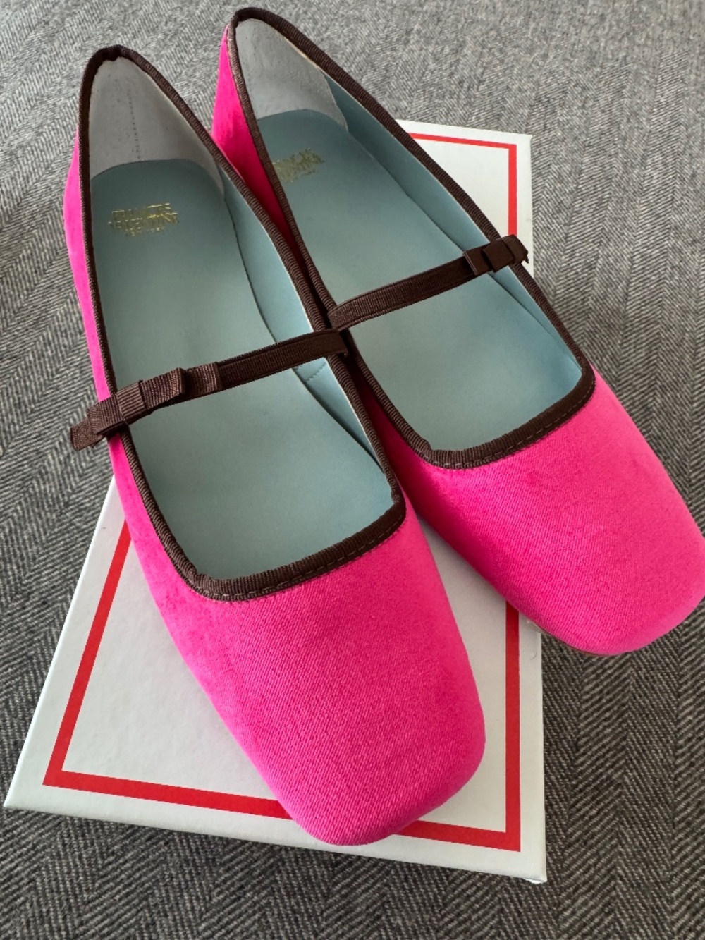 NWT, FRANCES VALENTINE, BEAUTIFUL PINK VELVET JUDE, MARY JANE FLAT